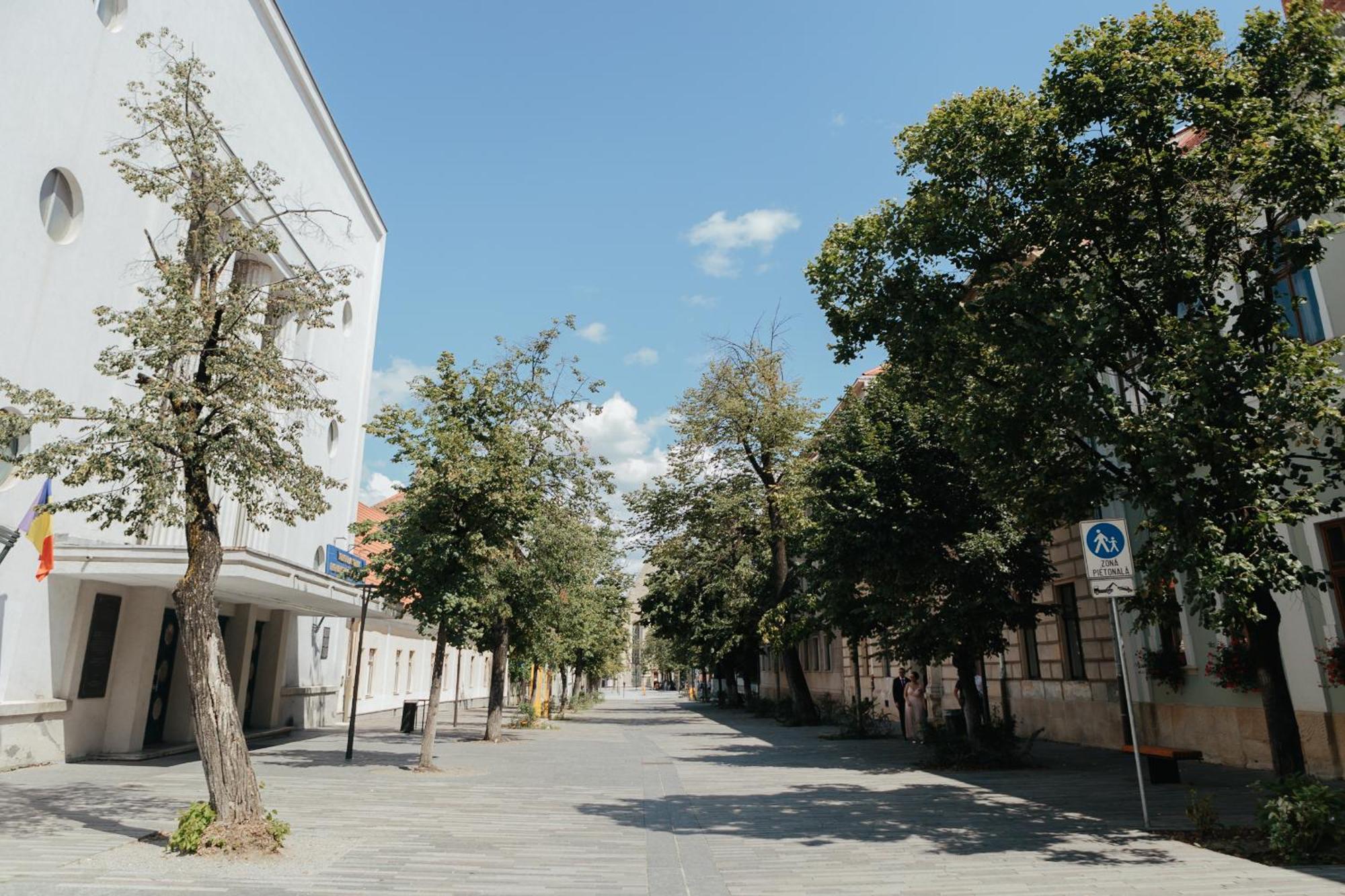Contessa Central Studio II Cluj-Napoca Exterior foto